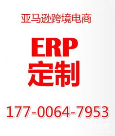 无货源店群erp采集管理系统软件开发全国寻求合作