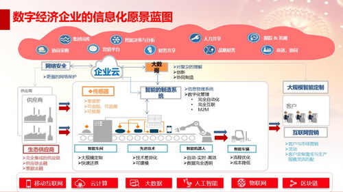 国新资本副总经理薛贵 数字经济背景下的企业财务转型